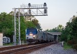Auto Train under the Signalts